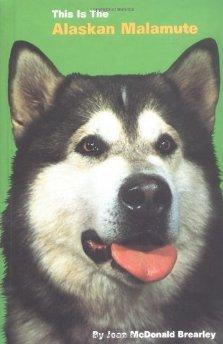 This Is the Alaskan Malamute.