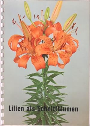 Lilien als Schnittblumen.