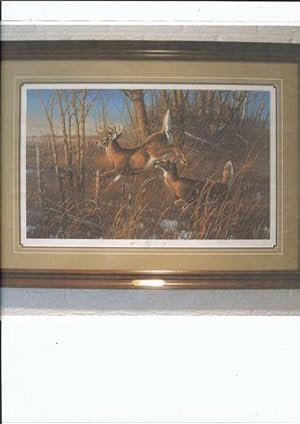 Bowhunting Big Game Records of North America, third edition