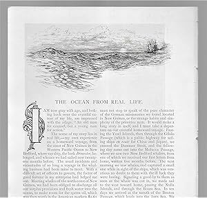 Seller image for The Ocean From Real Life for sale by Legacy Books II