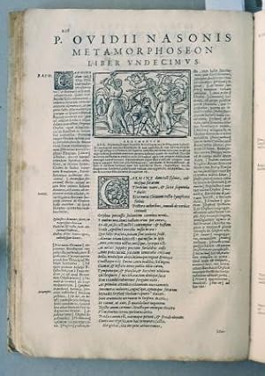 Imagen del vendedor de Metamorphoseon libr XV. Raphaelis regii volaterranii explanatio. Cum.addictionibus lactantii placiti in singulas fabulas argumenta.coelii rhodigini, Jo. B. Egnatii, H. Glareani, G. Longolii et Jac Fanensis.annotationes.continentur. a la venta por Libri Antichi Arezzo -  F&C Edizioni