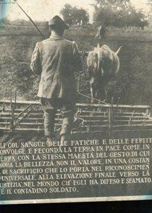 IL SECOLO ILLUSTRATO 1917 - LO SPORT ILLUSTRATO num.14 ANNO V 15 luglio , Milano, Soc. editoriale...