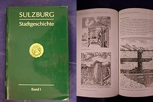Bild des Verkufers fr Geschichte der Stadt Sulzburg - Band I zum Verkauf von Buchantiquariat Uwe Sticht, Einzelunter.