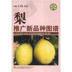 Seller image for pear promotion of new Variety Map(Chinese Edition) for sale by liu xing