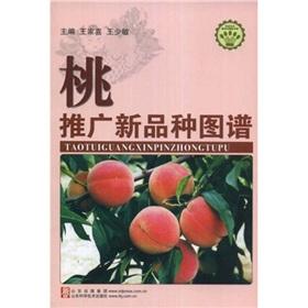 Seller image for promotion of new varieties of peach map(Chinese Edition) for sale by liu xing