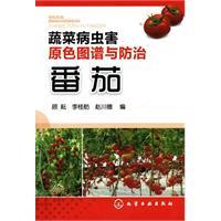Seller image for color patterns and prevention of diseases and insect pests of vegetables: tomato(Chinese Edition) for sale by liu xing