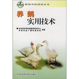 Image du vendeur pour goose practical technology(Chinese Edition) mis en vente par liu xing