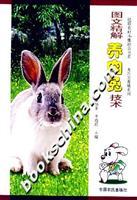 Image du vendeur pour Photo Fine Technology Solutions to support Rabbit(Chinese Edition) mis en vente par liu xing