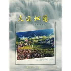 Seller image for About Songyang(Chinese Edition) for sale by liu xing