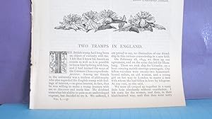 Seller image for Two Tramps In England for sale by Legacy Books II