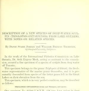 Imagen del vendedor de Description Of A New Species Of Deep Water Sculpin (Triglopsis Ontariensis) From Lake Ontario, With Notes On Related Species a la venta por Legacy Books II
