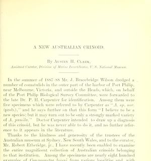 Seller image for A New Australian Crinoid for sale by Legacy Books II