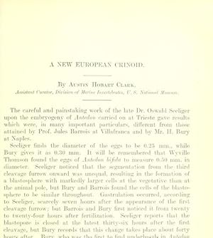 Seller image for A New European Crinoid for sale by Legacy Books II