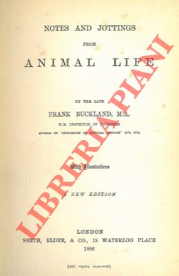 Notes and jottings from animal life.