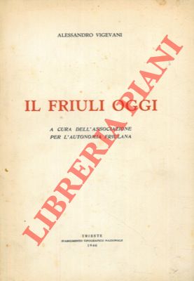 Bild des Verkufers fr Il Friuli oggi. zum Verkauf von Libreria Piani