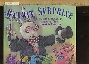 Immagine del venditore per Rabbit Surprise [Pictorial Children's Reader, Learning to Read, Skill building] venduto da GREAT PACIFIC BOOKS