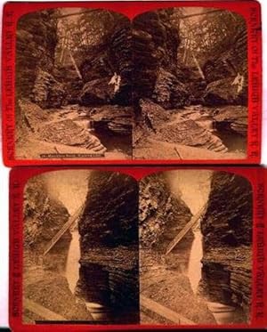 Seller image for 2 Early Watkins Glen Cavern Fall & Long Stairs Matchless Scene Stereoviews for sale by Certain Books, ABAA