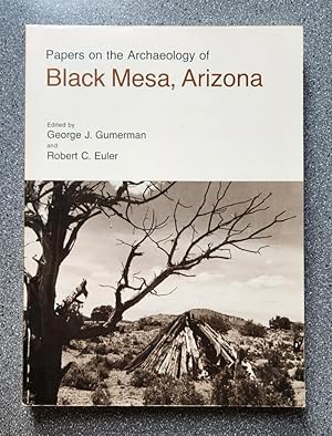 Seller image for Papers on the Archaeology of Black Mesa, Arizona for sale by Books on the Square