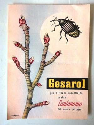 "GESAROL - Il più efficace insetticida contro L'ANTONOMO del melo e del pero - S.A. MONTECATINI"
