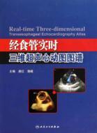 Seller image for real-time three-dimensional transesophageal echocardiography map [ paperback](Chinese Edition) for sale by liu xing