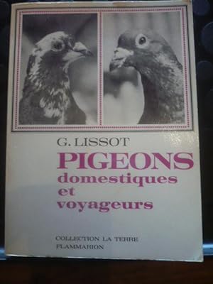 Pigeons domestiques et voyageurs