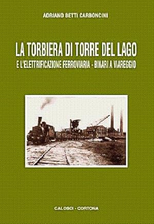 La Torbiera di Monte Del Lago e l'elettrificazione ferroviaria -binari a Viareggio