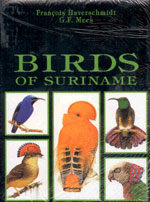 Image du vendeur pour Birds of Suriname mis en vente par Buteo Books