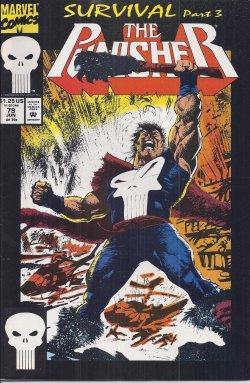 Seller image for THE PUNISHER: Jun #79 for sale by Books from the Crypt