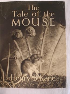 The Tale of a Mouse