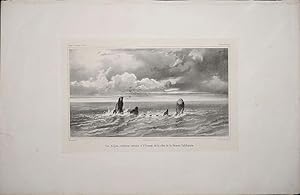 Los Alijos, rochers situes a l'Ouest de la cote de la Basse Californie. Lithograph