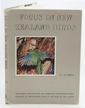 Image du vendeur pour Focus on New Zealand birds. mis en vente par Andrew Isles Natural History Books