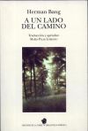 Seller image for A un lado del camino for sale by AG Library