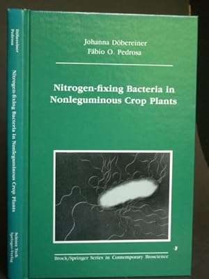 Nitrogen-Fixing Bacteria in Nonleguminous Crop Plants