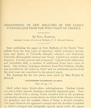 Seller image for Descriptions Of New Mollusks Of The Family Vitrinellidae From The West Coast Of America for sale by Legacy Books II