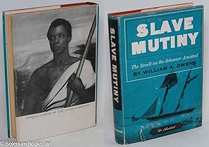 Slave mutiny; the revolt on the schooner Amistad