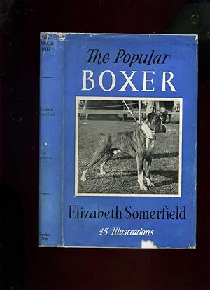 The Popular Boxer