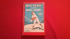 BIG PLAY IN THE SMALL LEAGUE