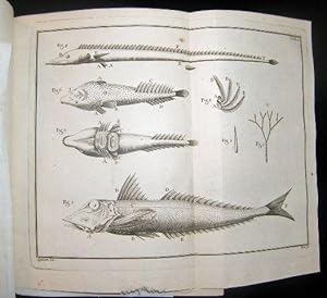 Histoire de poissons contenant la dÃ scription anatomique de leurs parties externes et internes, ...