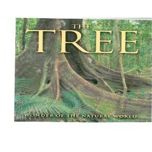Seller image for The Tree : Wonder of the Natural World for sale by Mahler Books