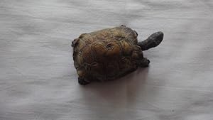 Bild des Verk�ufers f�r Massefiguren Lineol Elatolin : Schildkr�te zum Verkauf von Malota