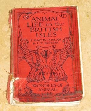Animal Life in the British Isles
