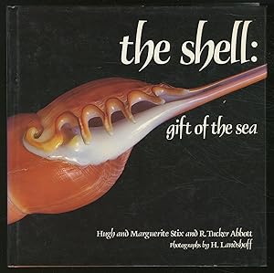 Bild des Verkufers fr The Shell: Gift of the Sea zum Verkauf von Between the Covers-Rare Books, Inc. ABAA