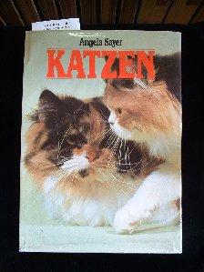 Katzen