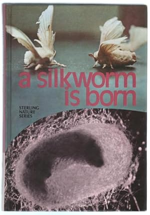 Imagen del vendedor de A Silkworm is Born. a la venta por Truman Price & Suzanne Price / oldchildrensbooks