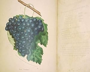 Bild des Verkufers fr The Orchardist's Companion A Quarterly Journal Fruits of the United States DEVOTED TO THE HISTORY, CHARACTER, PROPERTIES, MODES zum Verkauf von Princeton Antiques Bookshop