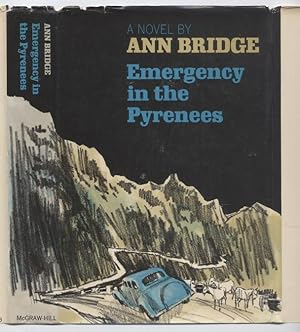 Emergency in the Pyrenees