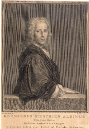 Bild des Verkufers fr Portrait of Albinus engraved by J. Houbraken after Car. de Moer. 28.5x19cm zum Verkauf von Jeremy Norman's historyofscience