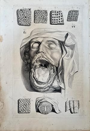 Bild des Verkufers fr Plate 13 (head w/dissected jaw & tongue) from Anatomia humani corporis. 44x27.5cm (image size) First edition zum Verkauf von Jeremy Norman's historyofscience