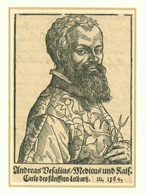 Seller image for Woodcut portrait of Vesalius attributed to Tobias Stimmer (1539-84). Matted. 13x9. cm for sale by Jeremy Norman's historyofscience