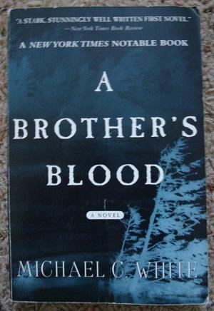 Seller image for A Brother's Blood : A Novel for sale by Bev's Book Nook